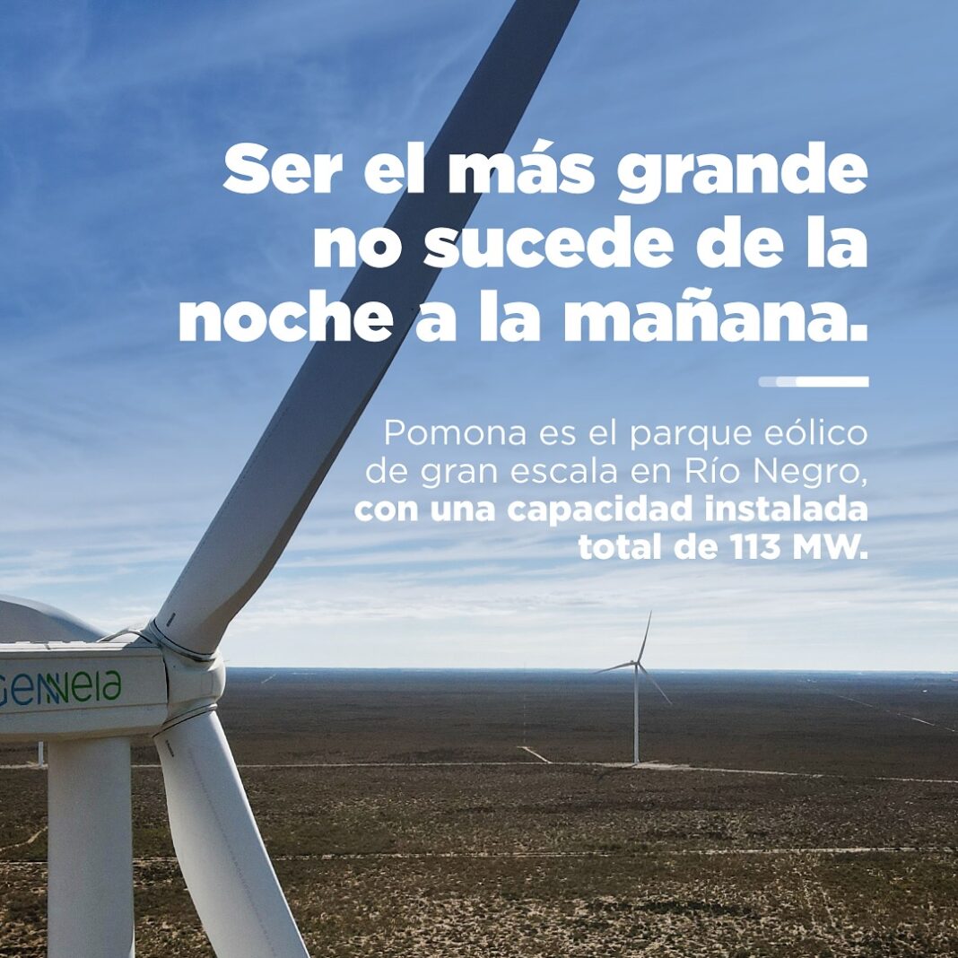 Genneia Pomona Rio Negro