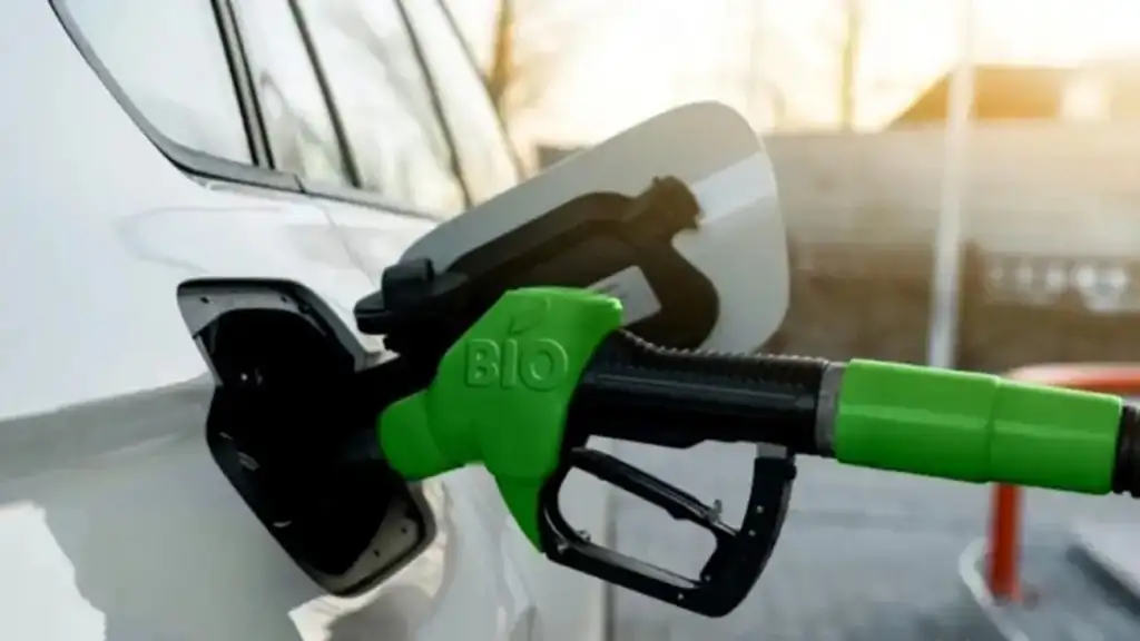 bio combustible