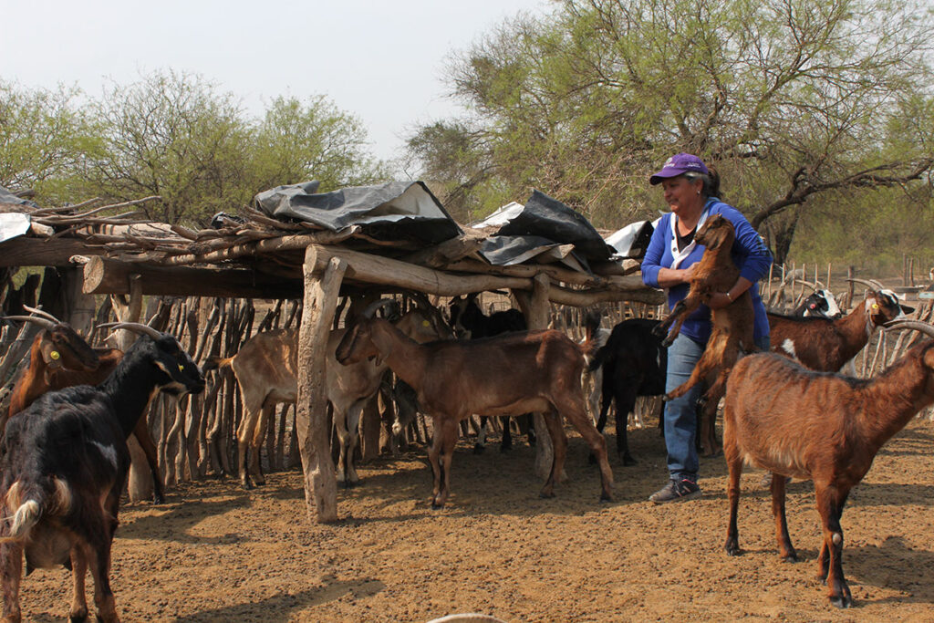 movimiento-_campesino_cordoba_monte-adentro-03-1024x683