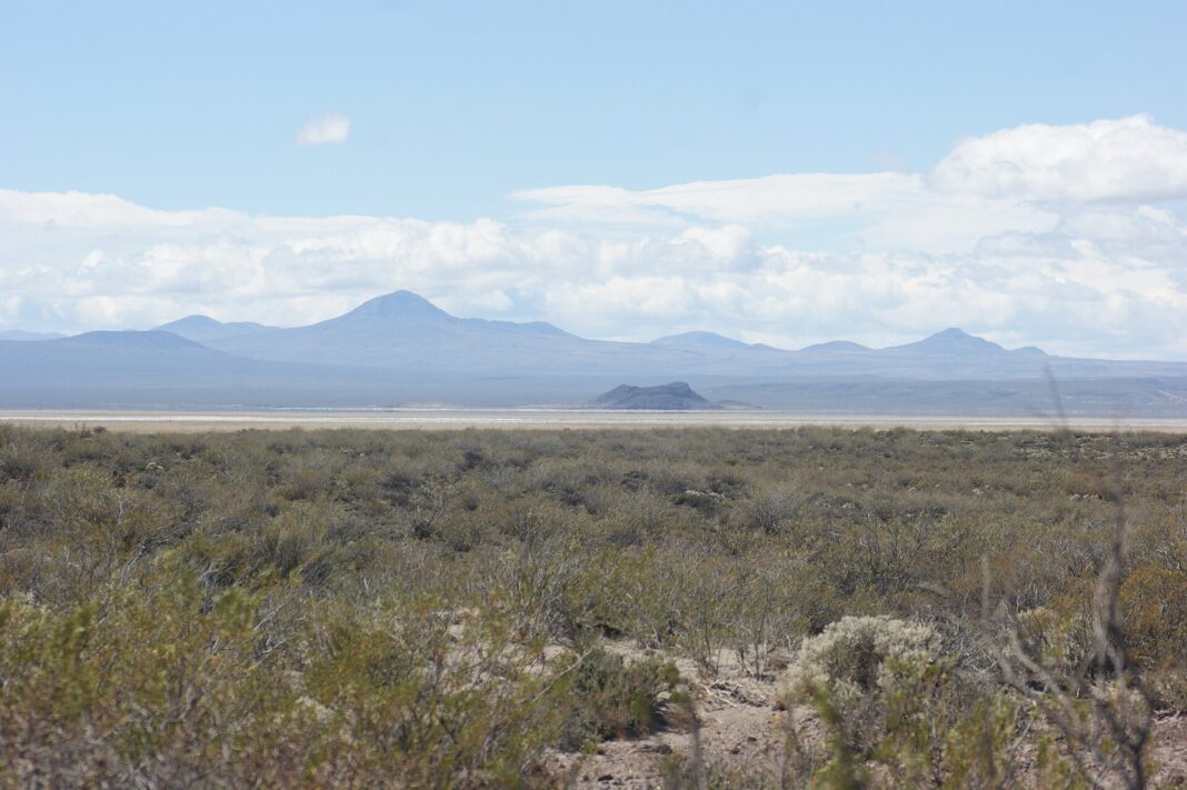 Laguna de Llancanelo, Malargüe, Mendoza (imagen ilustrativa)