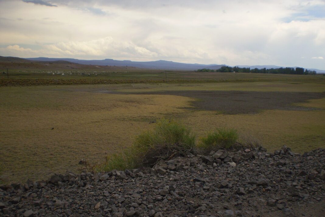Mallín en proximidades de Ingeniero Jacobacci, Río Negro