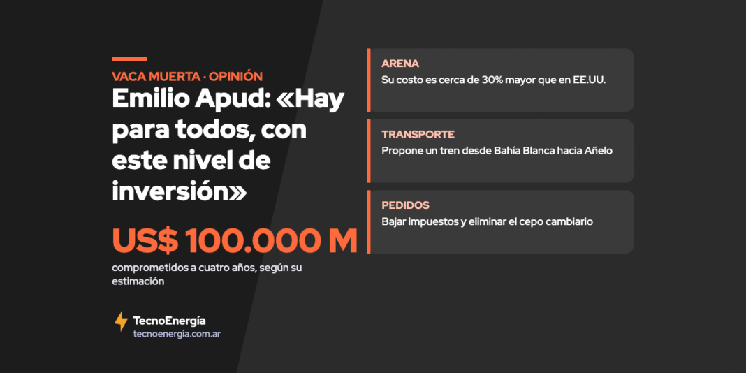 Placa: Emilio Apud y la inversión en Vaca Muerta