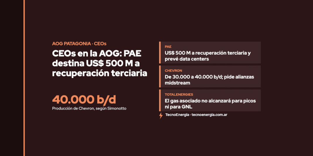 Placa: CEOs en la AOG: PAE destina US$ 500 M a recuperación terciaria