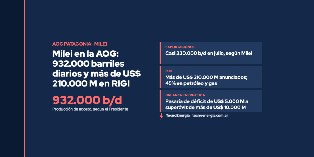 Placa: Milei en la AOG: 932.000 barriles diarios y más de US$ 210.000 M en RIGI