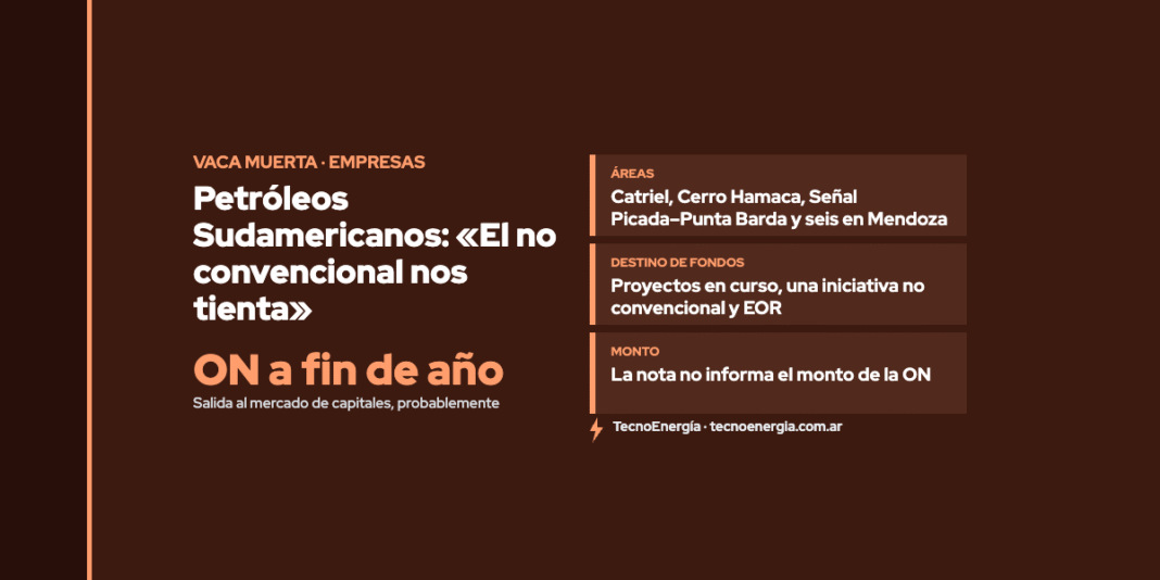 Placa: Petróleos Sudamericanos: «El no convencional nos tienta»